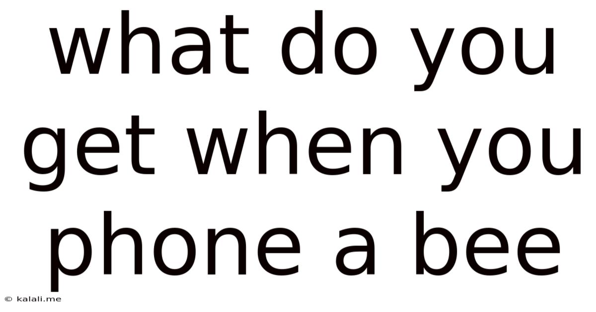 What Do You Get When You Phone A Bee