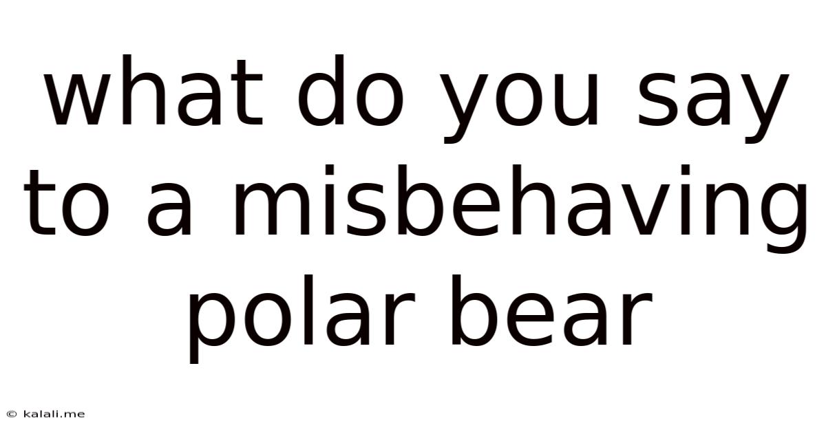 What Do You Say To A Misbehaving Polar Bear