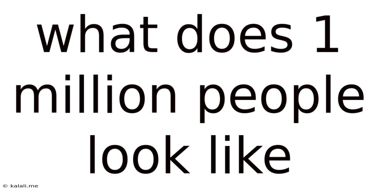 What Does 1 Million People Look Like