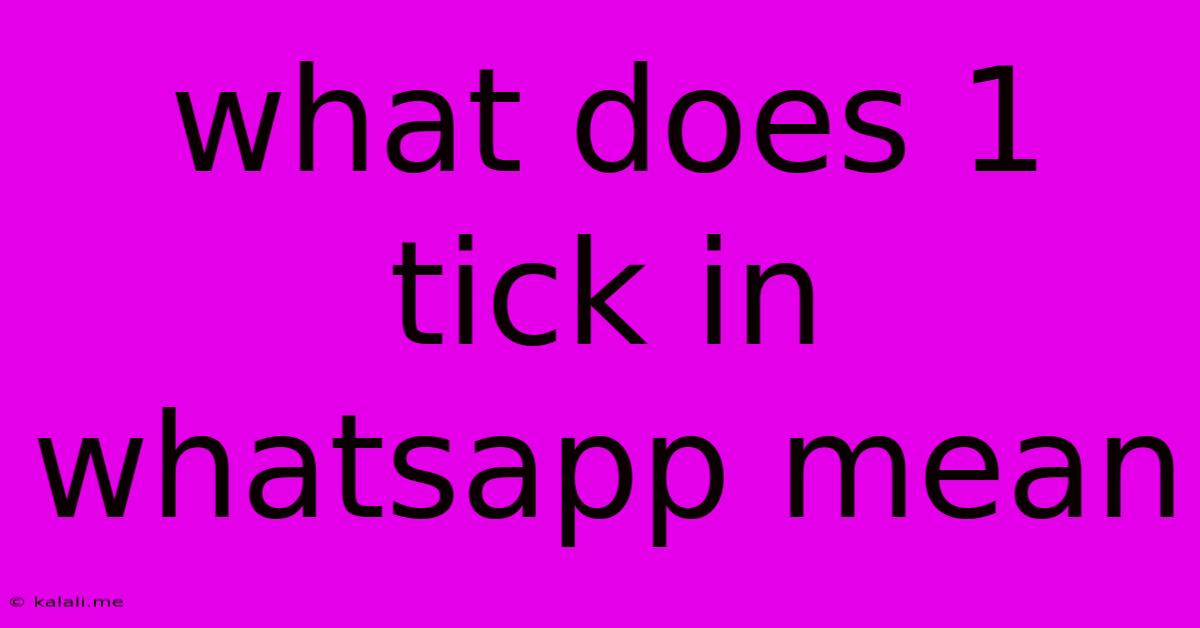 What Does 1 Tick In Whatsapp Mean