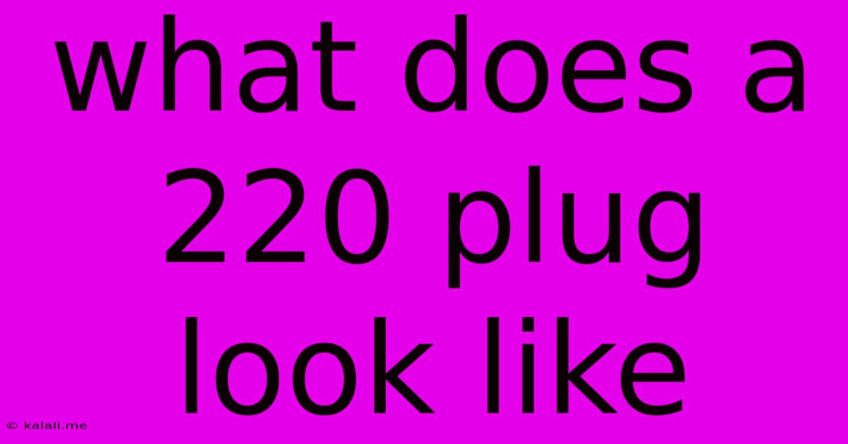 What Does A 220 Plug Look Like