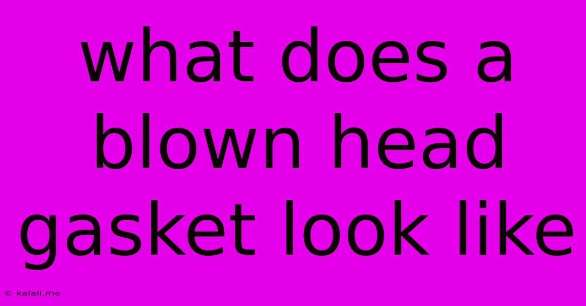 What Does A Blown Head Gasket Look Like