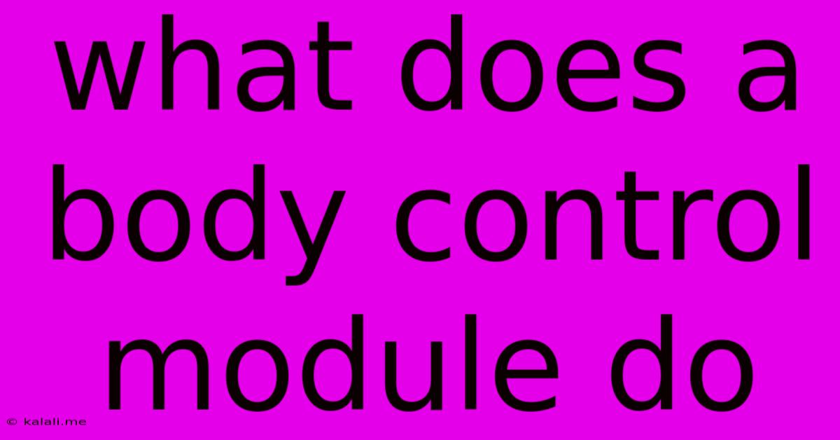 What Does A Body Control Module Do