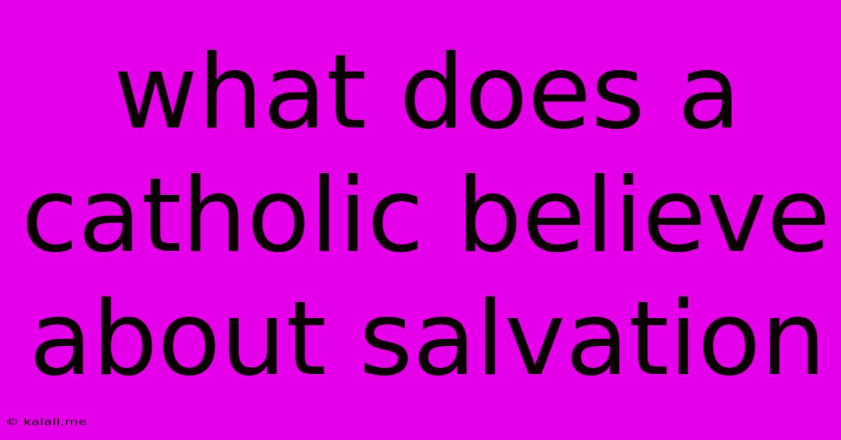 What Does A Catholic Believe About Salvation