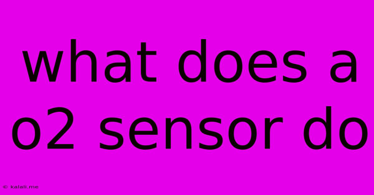 What Does A O2 Sensor Do