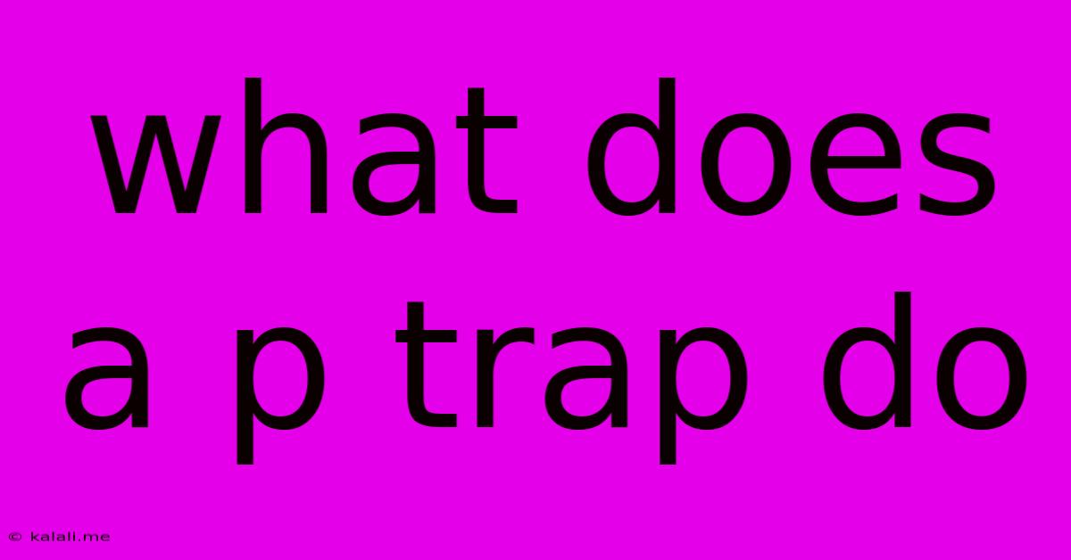 What Does A P Trap Do