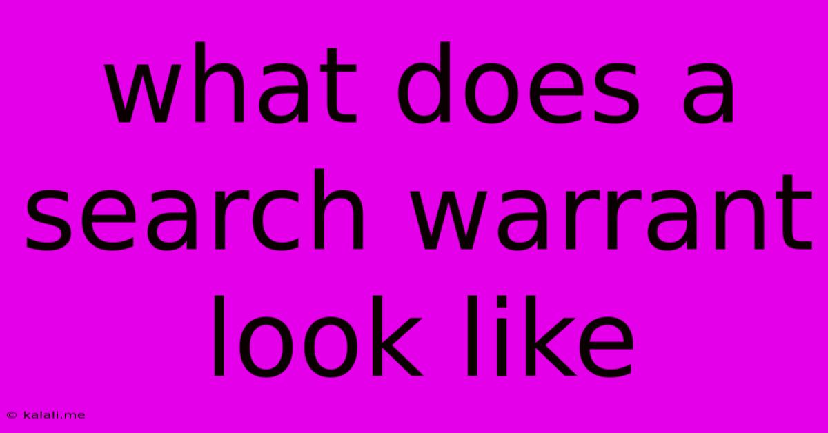 What Does A Search Warrant Look Like
