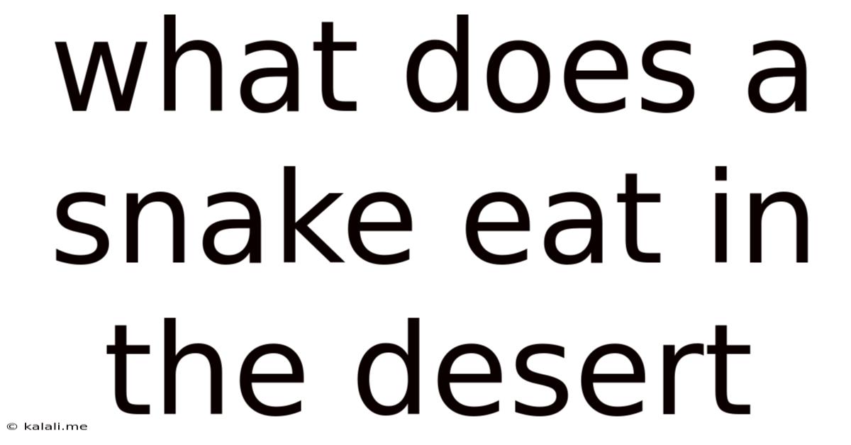 What Does A Snake Eat In The Desert