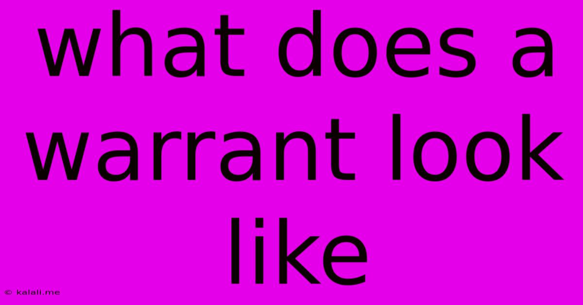 What Does A Warrant Look Like