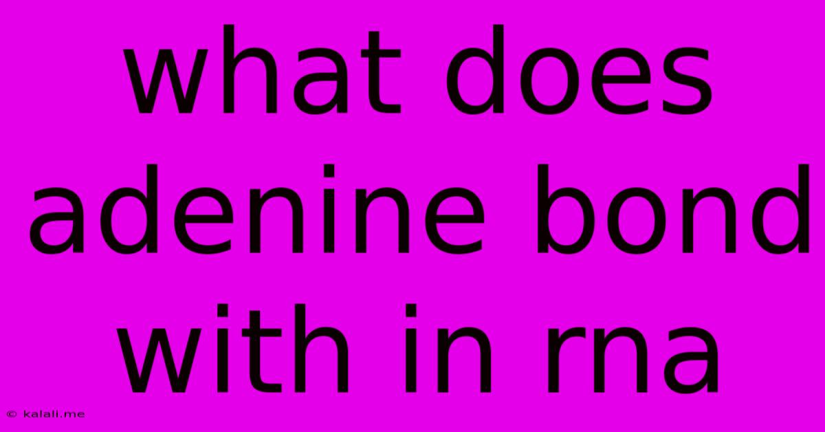 What Does Adenine Bond With In Rna