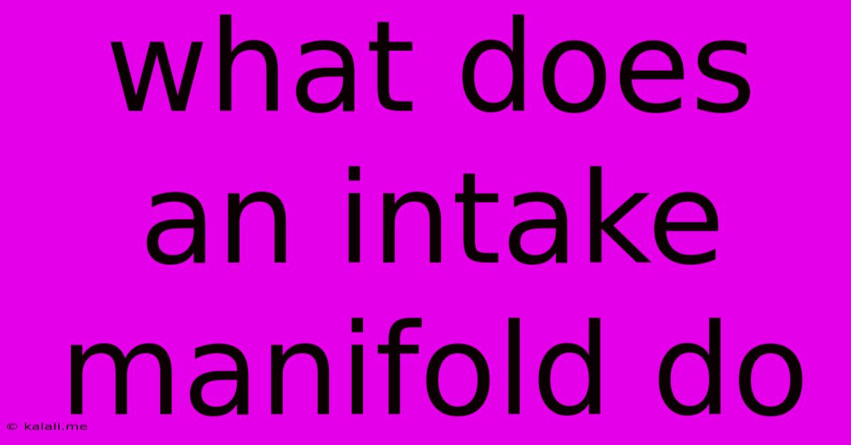 What Does An Intake Manifold Do