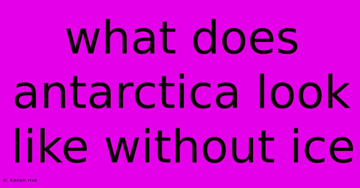 What Does Antarctica Look Like Without Ice