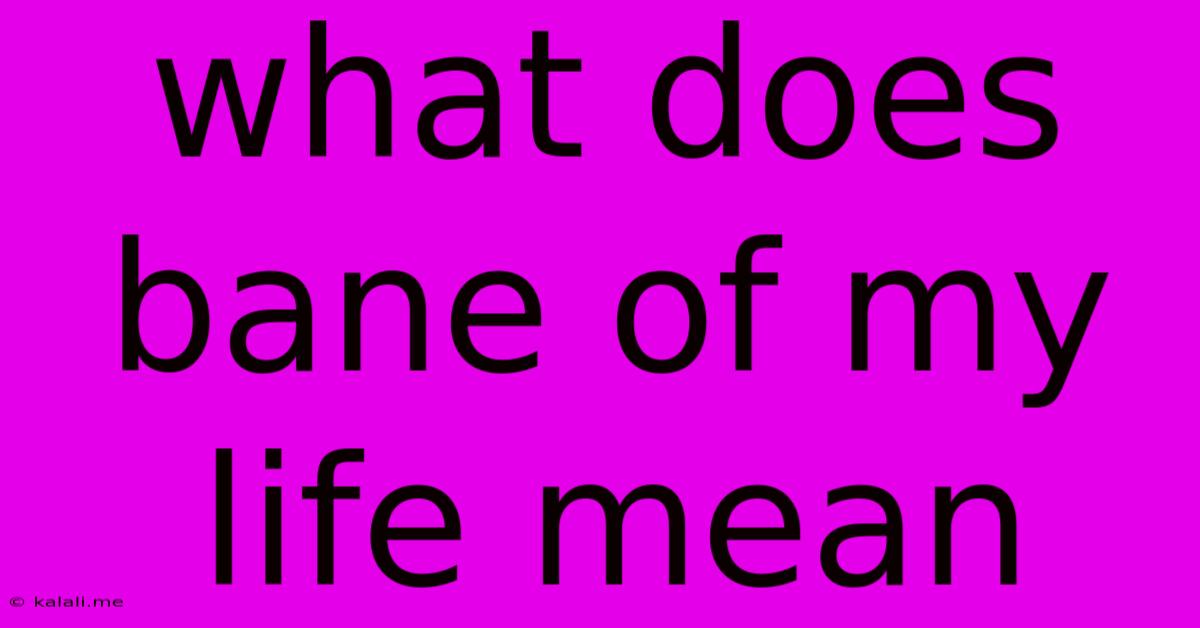 What Does Bane Of My Life Mean
