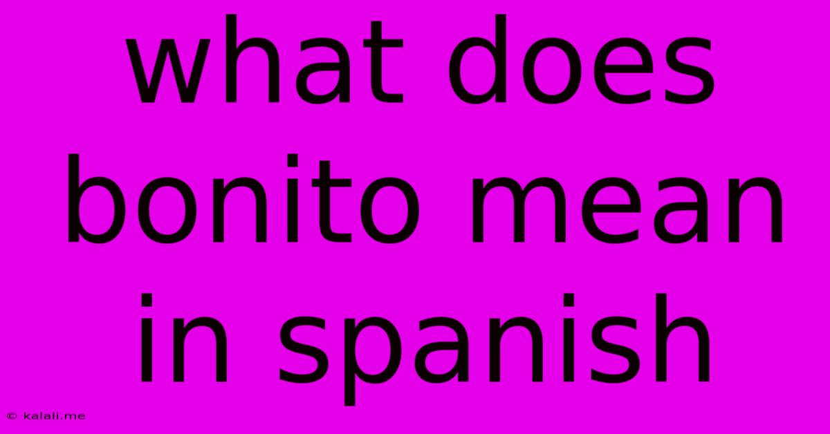 What Does Bonito Mean In Spanish