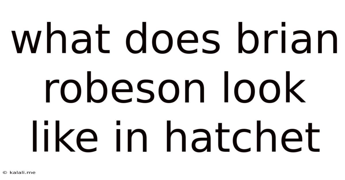 What Does Brian Robeson Look Like In Hatchet