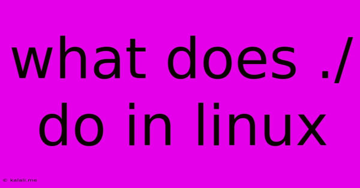 What Does ./ Do In Linux