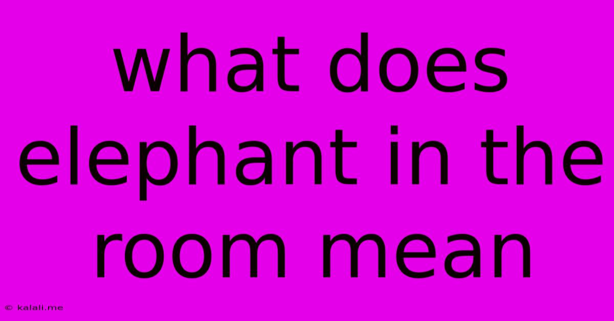 What Does Elephant In The Room Mean