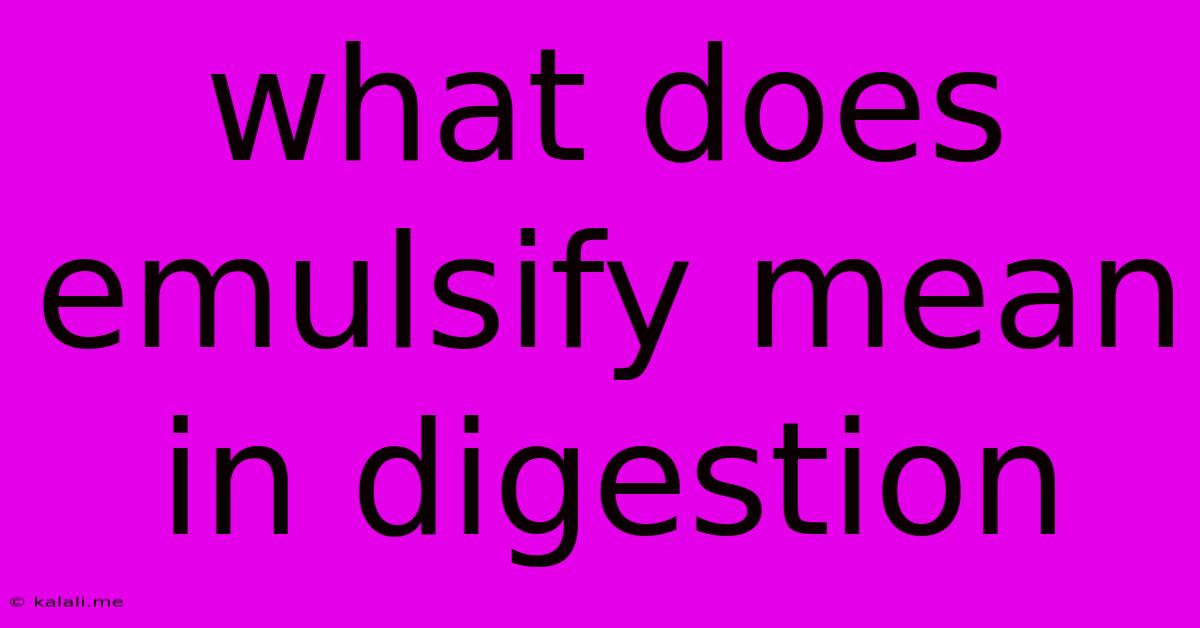 What Does Emulsify Mean In Digestion