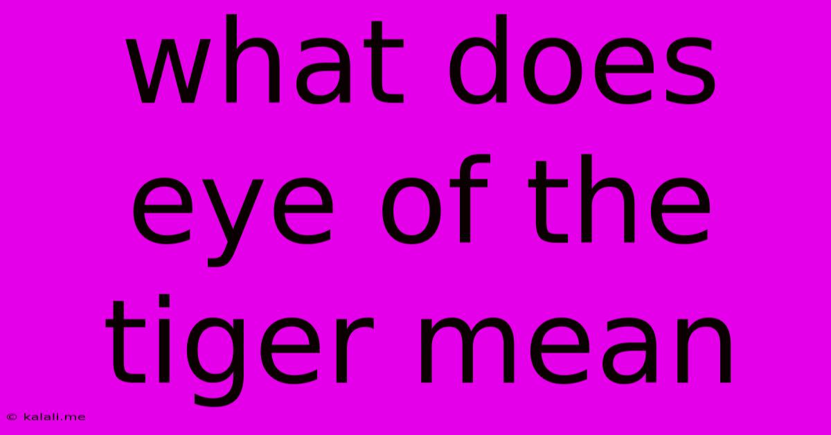 What Does Eye Of The Tiger Mean