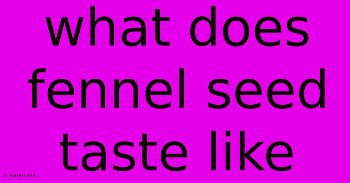 What Does Fennel Seed Taste Like
