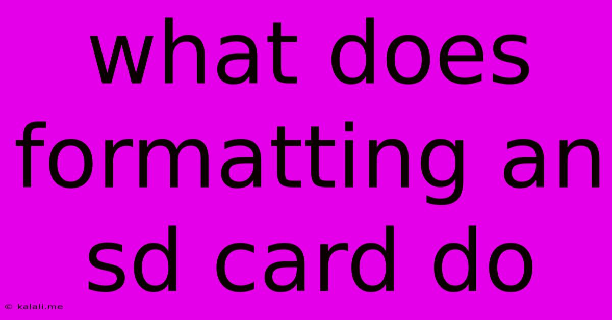 What Does Formatting An Sd Card Do