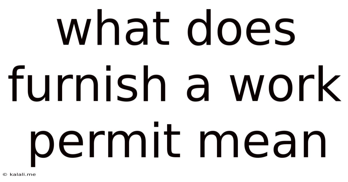 What Does Furnish A Work Permit Mean