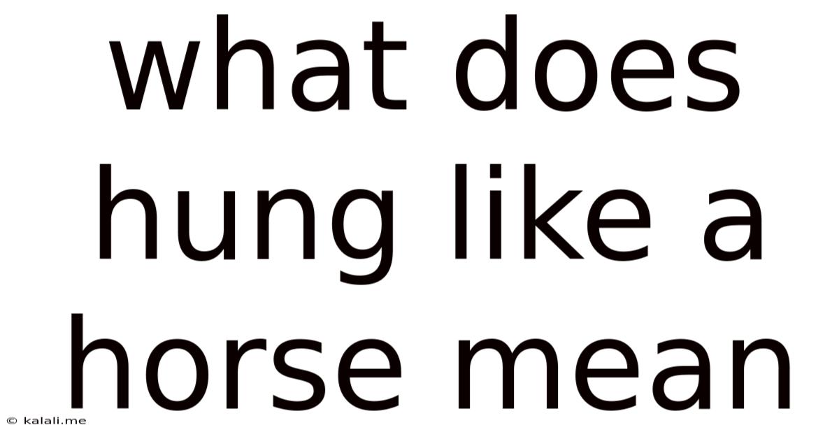 What Does Hung Like A Horse Mean