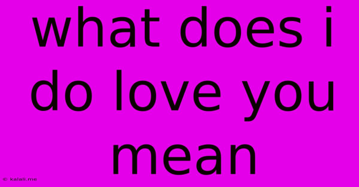 What Does I Do Love You Mean