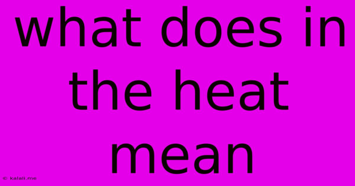 What Does In The Heat Mean