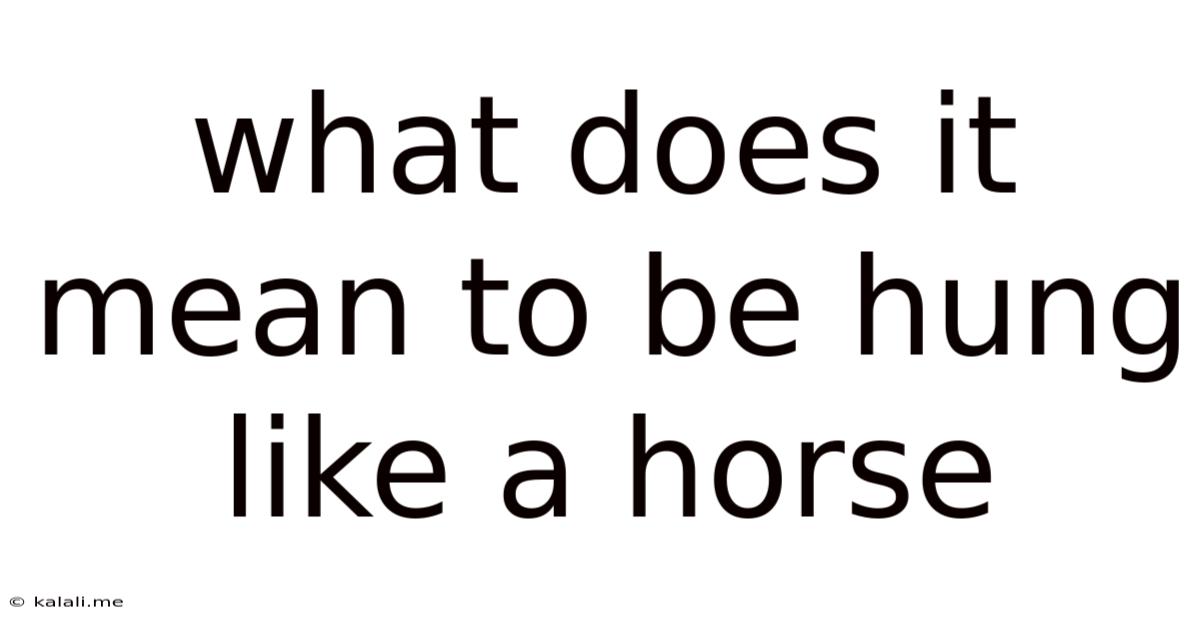What Does It Mean To Be Hung Like A Horse