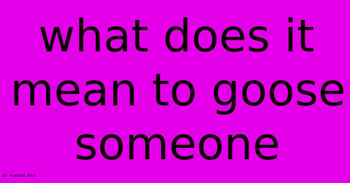 What Does It Mean To Goose Someone
