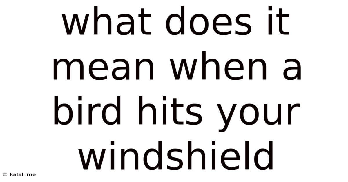 What Does It Mean When A Bird Hits Your Windshield