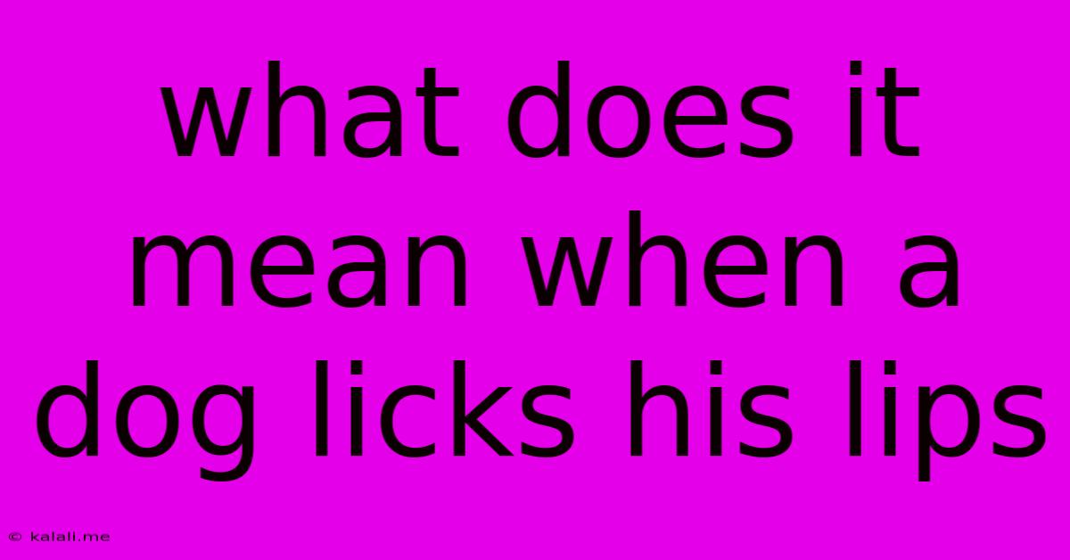 What Does It Mean When A Dog Licks His Lips