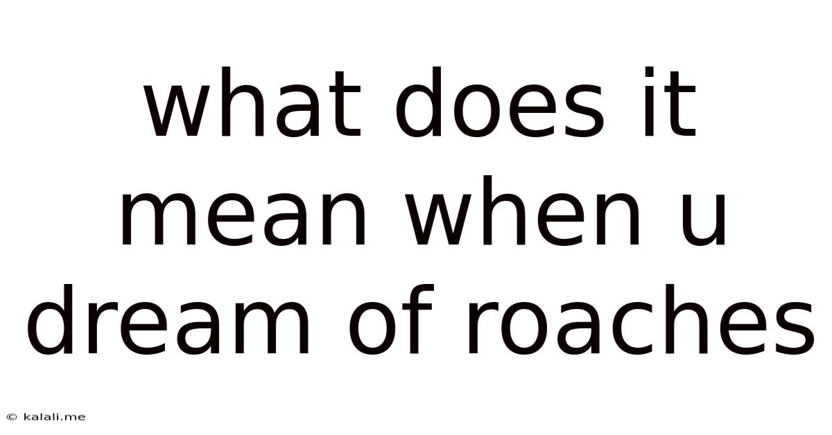 What Does It Mean When U Dream Of Roaches