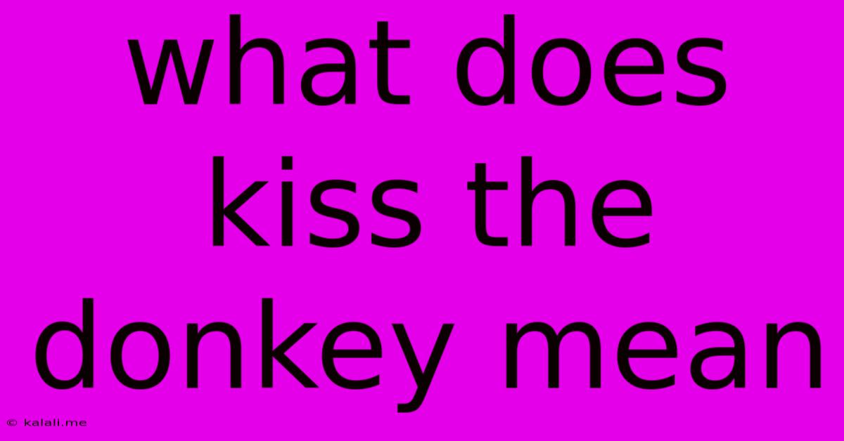 What Does Kiss The Donkey Mean