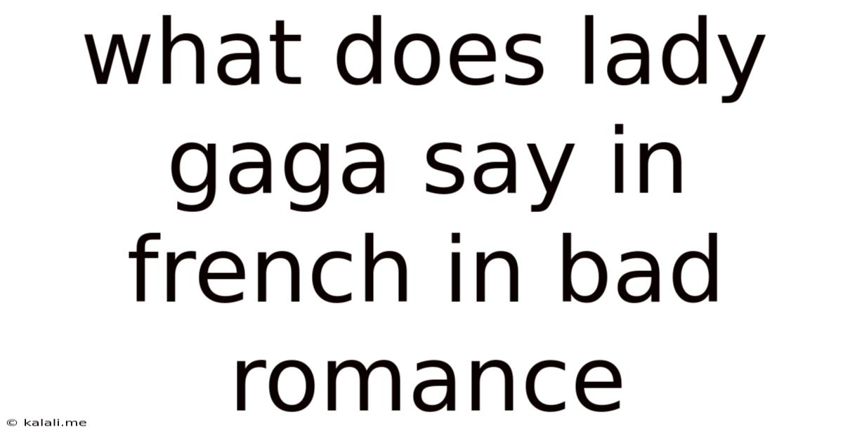 What Does Lady Gaga Say In French In Bad Romance