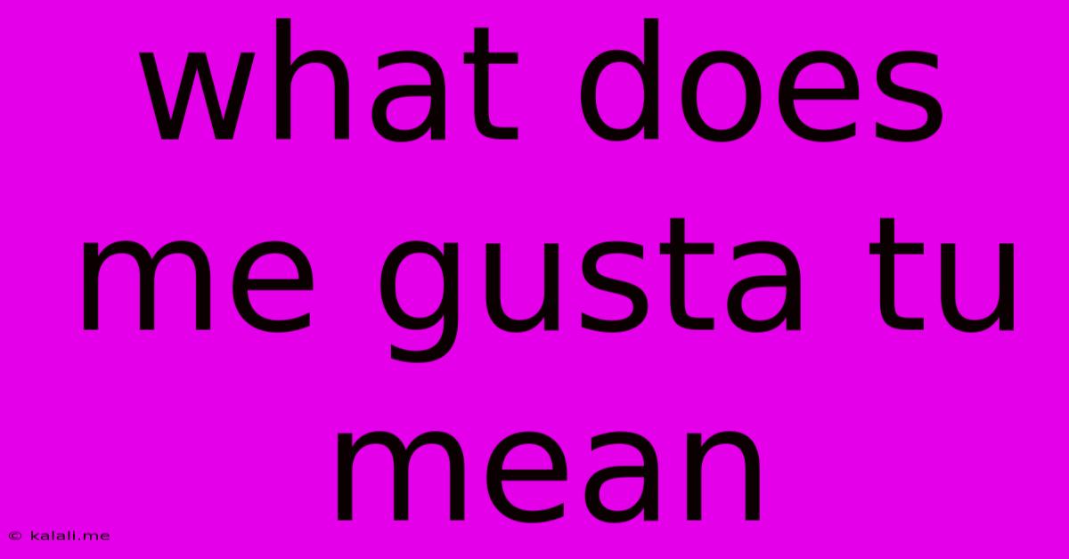 What Does Me Gusta Tu Mean