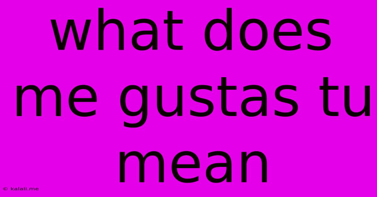 What Does Me Gustas Tu Mean
