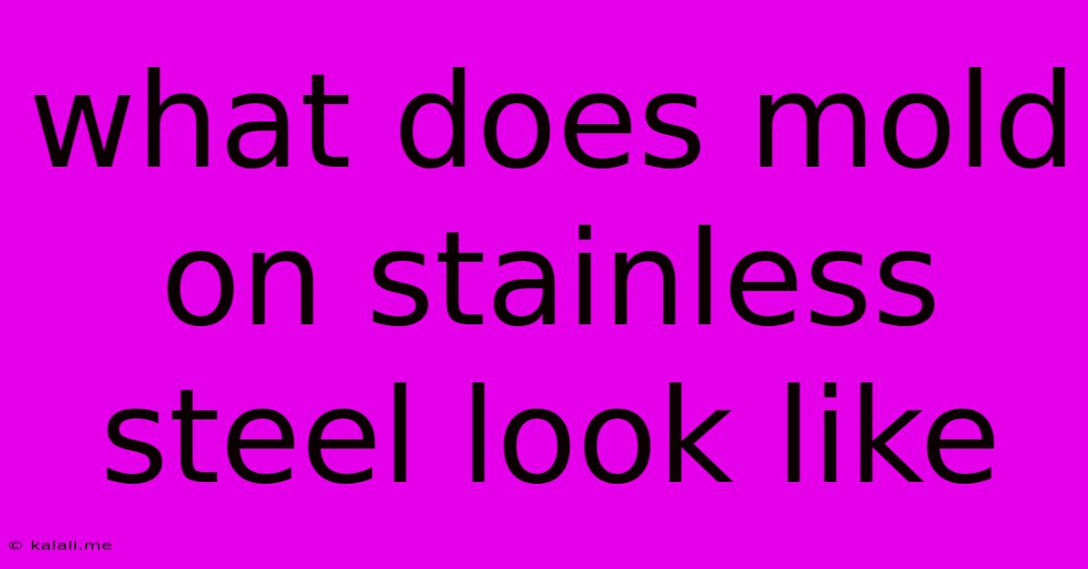 What Does Mold On Stainless Steel Look Like