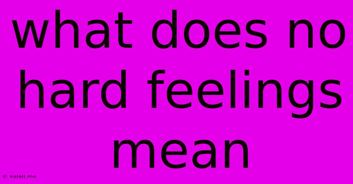 What Does No Hard Feelings Mean