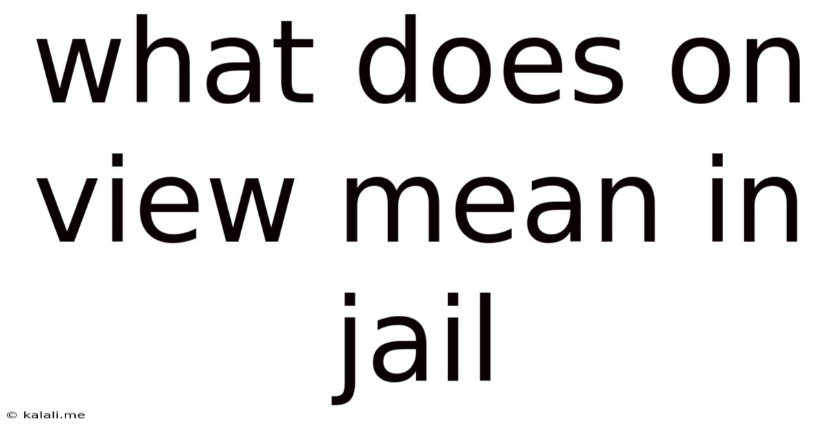 What Does On View Mean In Jail
