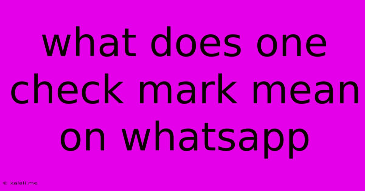 What Does One Check Mark Mean On Whatsapp