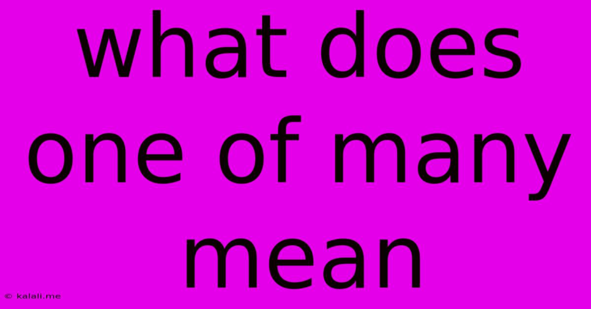 What Does One Of Many Mean