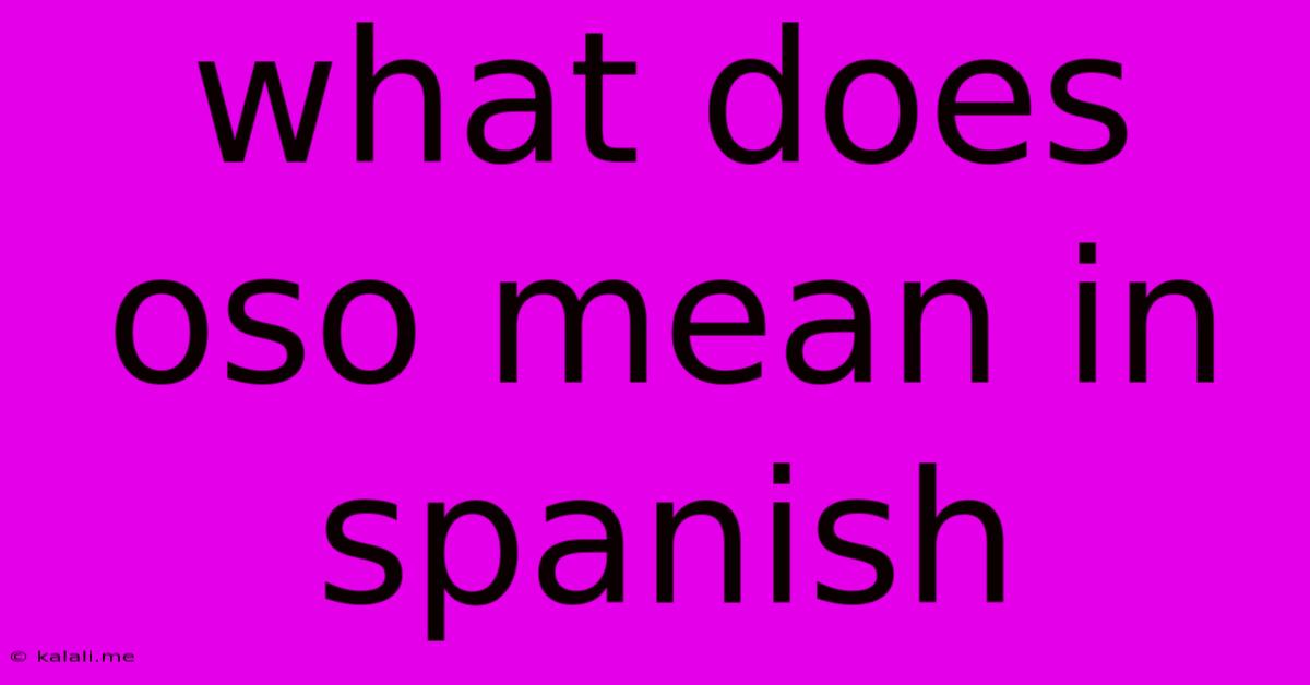 What Does Oso Mean In Spanish