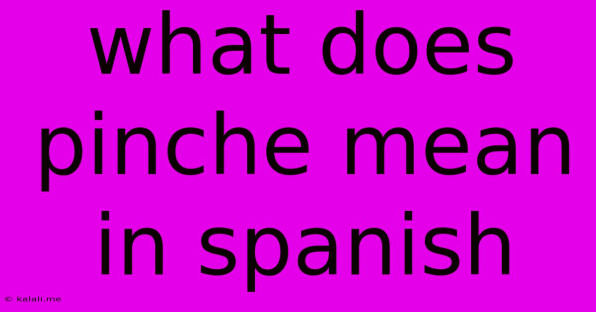 What Does Pinche Mean In Spanish