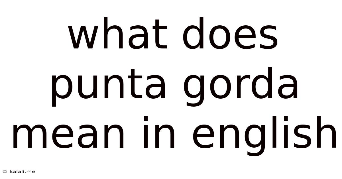 What Does Punta Gorda Mean In English
