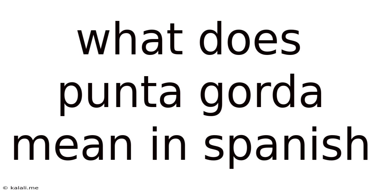What Does Punta Gorda Mean In Spanish