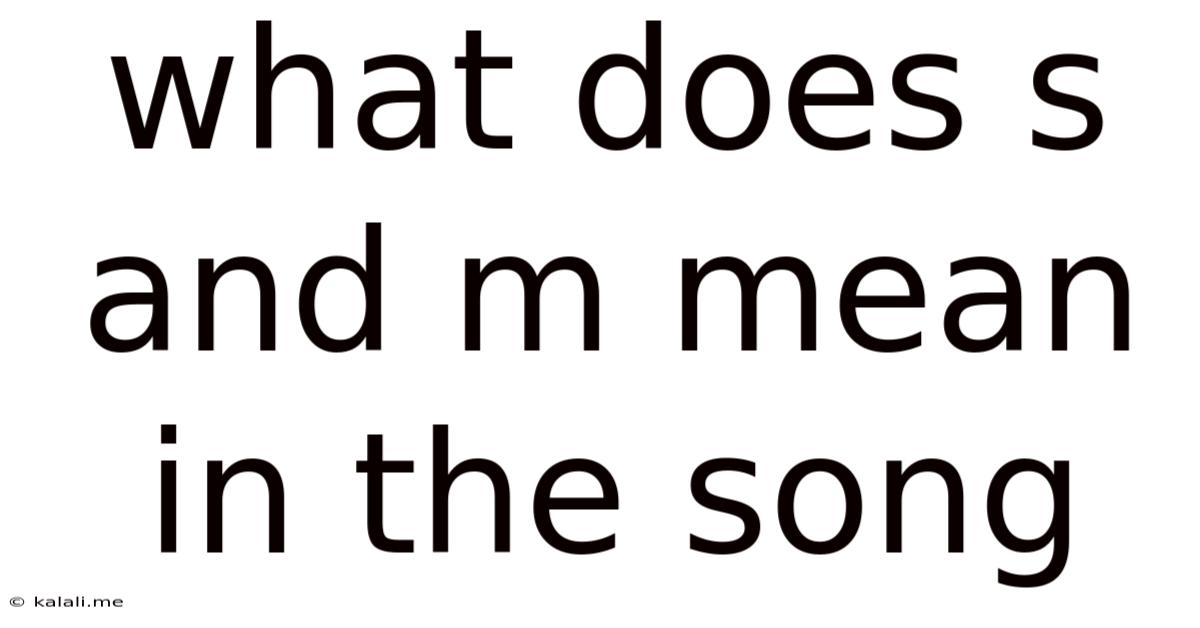 What Does S And M Mean In The Song