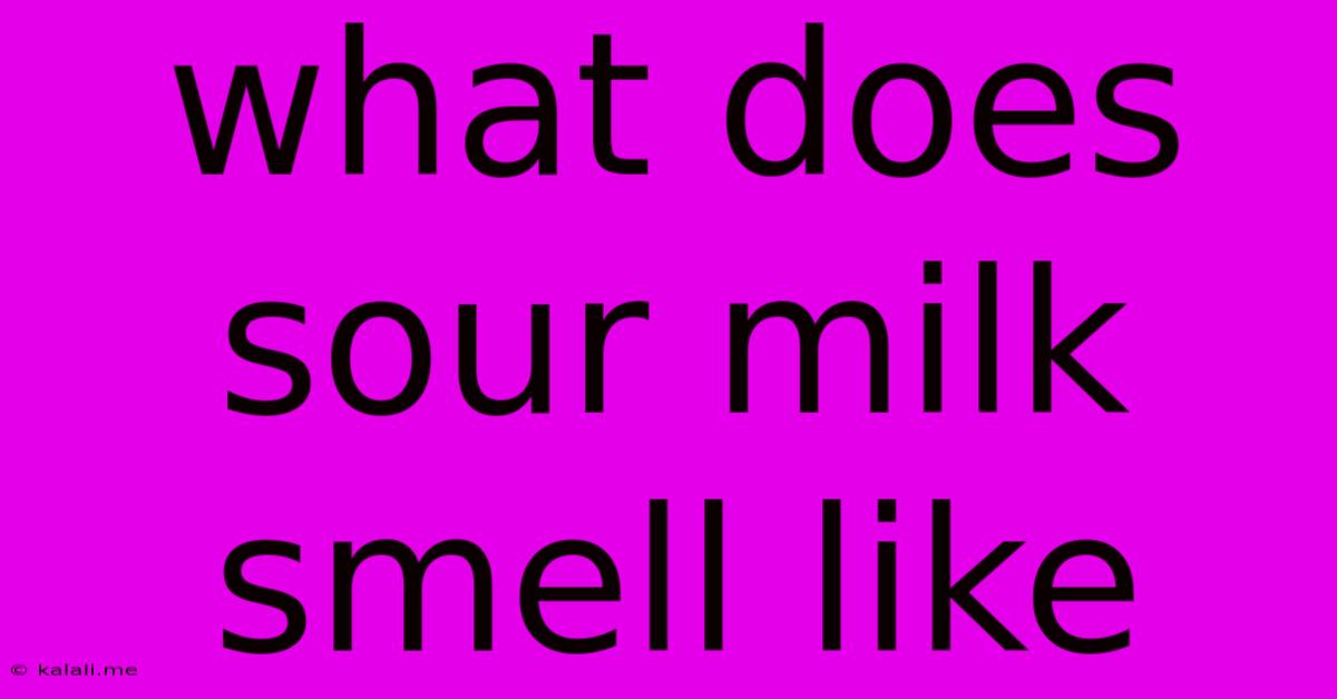 What Does Sour Milk Smell Like