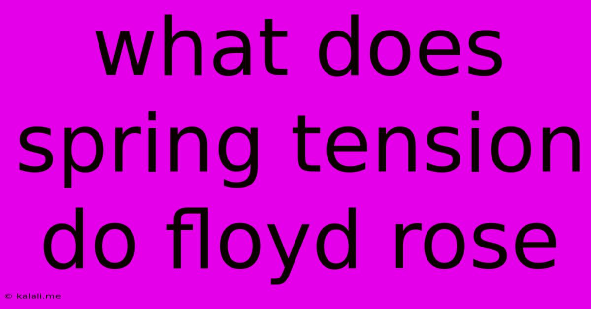 What Does Spring Tension Do Floyd Rose